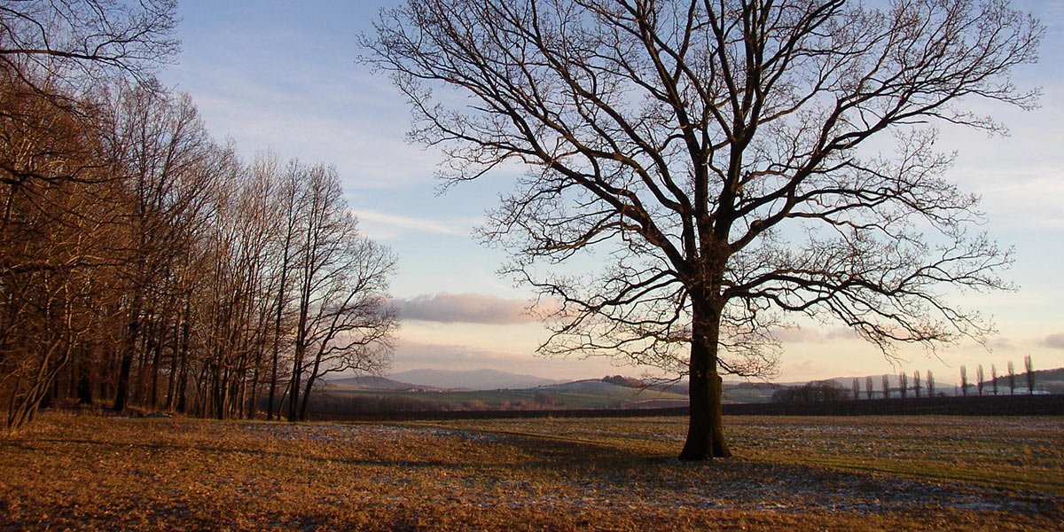 Heinrichshöhe bei Leutersdorf (Foto: JoeIntel . Creative Commons)